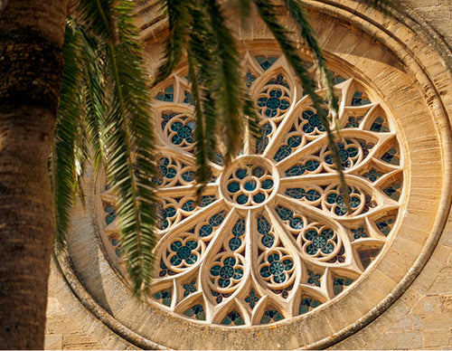 Palma community entry